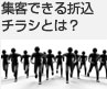 �W�q�ł���܍��`���V�Ƃ́H