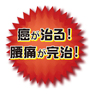 癌が治る！腰痛が完治！